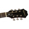 Epiphone DR-100 Akustik Gitar (Ebony)<br>Fotoğraf: 5/5