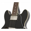 Epiphone ES-339 Pro Elektro Gitar (Ebony)<br>Fotoğraf: 2/3