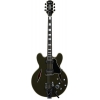 Epiphone Exclusive Shinichi Ubukata ES-355 Custom Elektro Gitar (Olive Drab)<br>Fotoğraf: 1/5