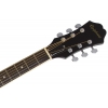 Epiphone FT-100 Player Pack Akustik Gitar Seti (Ebony)<br>Fotoğraf: 4/4