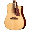 Epiphone Hummingbird Standard EC Elektro Akustik Gitar (Natural), Fotoğraf: 2/3