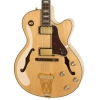 Epiphone "Joe Pass" Emperor-II Pro Elektro Gitar (Natural)<br>Fotoğraf: 2/2