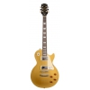 Epiphone Les Paul Standart Elektro Gitar (Metallic Gold)<br>Fotoğraf: 1/4