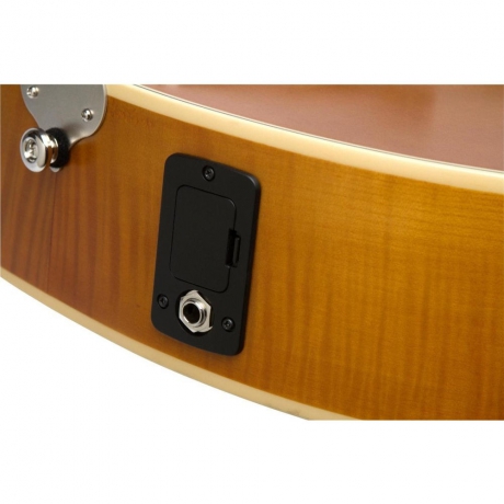 Epiphone Masterbilt Century Zenith Classic Elektro Gitar (Vintage Sunburst)<br>Fotoğraf: 4/4