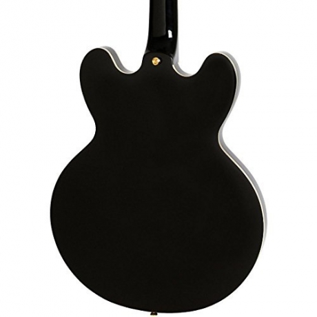 Epiphone Sheraton-II Pro Elektro Gitar (Ebony)<br>Fotoğraf: 4/4