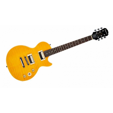 Epiphone Slash AFD Les Paul Performance Pack Elektro Gitar Seti<br>Fotoğraf: 4/6