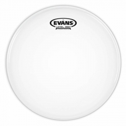 Evans B14G1-B 14 Inc Trampet Derisi