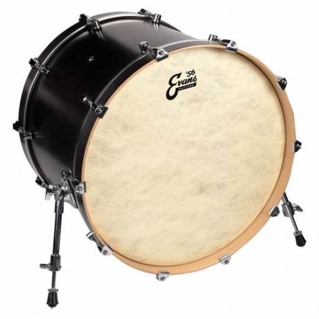 Evans BD18CT 18 Inc Kick Derisi<br>Fotoğraf: 2/2