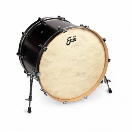 Evans BD20CT 20 Inc Kick Derisi<br>Fotoğraf: 2/2