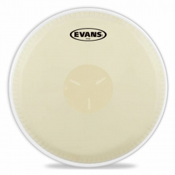 Evans EB0709 Bongo Derisi