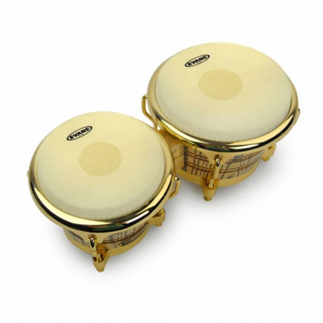 Evans EB0709 Bongo Derisi<br>Fotoğraf: 2/2