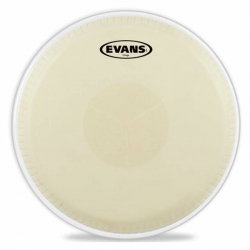 Evans EC1250E Conga Derisi