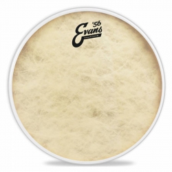 Evans TT10C7 10 Inc Tom Derisi