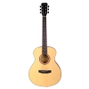 Fenix FT-1ONA Akustik Gitar (Natural)<br>Fotoğraf: 1/1