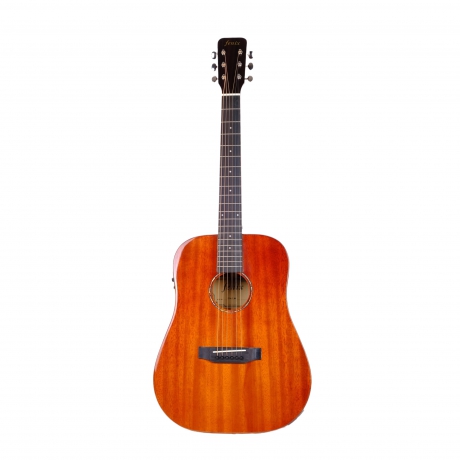 Fenix FT-4ENA Elektro Akustik Gitar (Natural)<br>Fotoğraf: 1/1