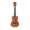Fenix PS-SKT10-21Y/SN Concert Ukulele (Snoopy)<br>Fotoğraf: 1/3