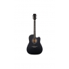 Fenix PSAG-13/BK Akustik Gitar (Siyah)<br>Fotoğraf: 1/3