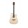 Fenix PSAG-13/NT Akustik Gitar (Natural)<br>Fotoğraf: 1/3