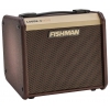 Fishman Loudbox Micro 40 Watt Akustik Amfi<br>Fotoğraf: 2/4