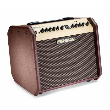 Fishman Loudbox Mini Bluetooth Akustik Amfi<br>Fotoğraf: 3/4