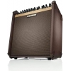 Fishman Loudbox Performer BT 180-Watt Akustik Amfi<br>Fotoğraf: 2/4