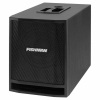 Fishman SA Sub 300W 1x8 Subwoofer<br>Fotoğraf: 1/3