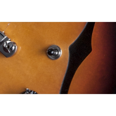 Gibson Memphis ES-339 Studio Elektro Gitar (Ginger Burst)<br>Fotoğraf: 6/11