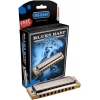 Hohner Blues Harp MS Serisi Mızıka (Do Majör)<br>Fotoğraf: 1/2