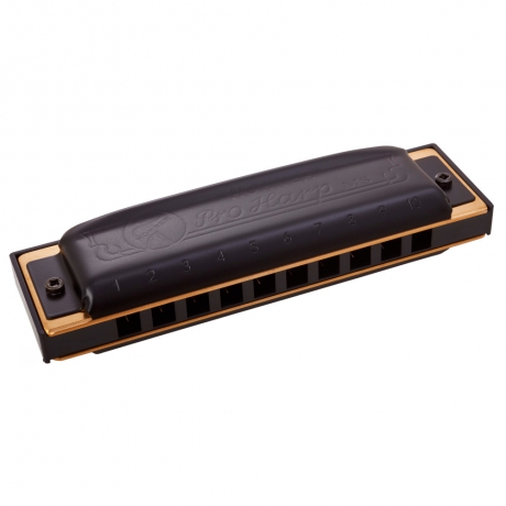 Hohner Pro Harp F#-major Mızıka<br>Fotoğraf: 1/1