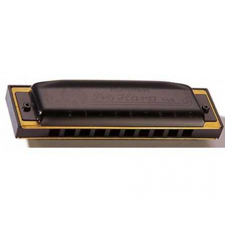 Hohner Pro Harp MS Serisi 562/20 Mızıka (Mi Majör)<br>Fotoğraf: 1/1