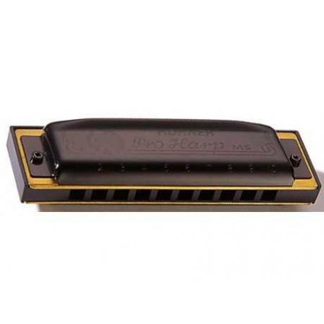 Hohner Pro Harp MS Serisi 562/20 Mızıka (Re Majör)<br>Fotoğraf: 1/1