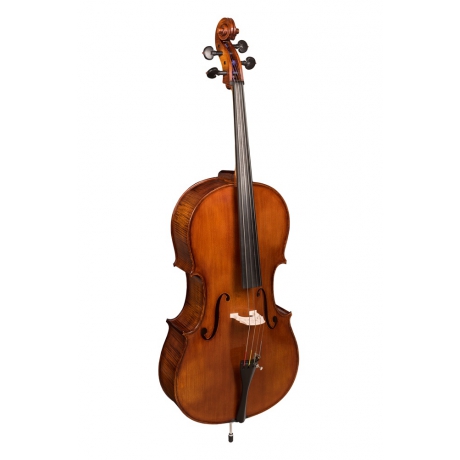 Hora C400 Marian Marcel Lutiye El Yapımı Master Çello 4/4<br>Fotoğraf: 3/6