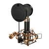 iCON Aurora Kondenser Stüdyo Mikrofonu<br>Fotoğraf: 5/7