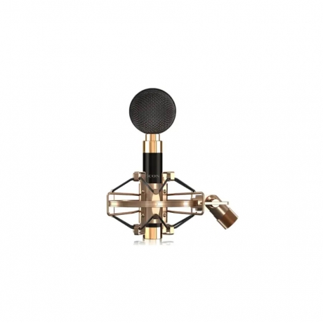 iCON Aurora Kondenser Stüdyo Mikrofonu<br>Fotoğraf: 4/7