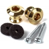 Jim Dunlop 2PSLS034G Straplok Askı Pimi Seti (Gold), Fotoğraf: 1/3
