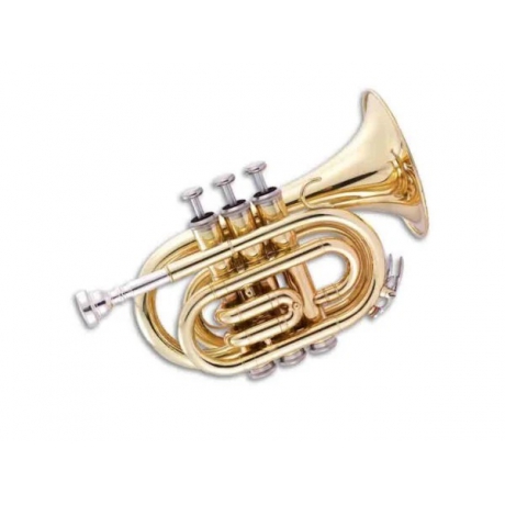 Jinbao JBMT-500L Pocket Trompet  (Lacquer)<br>Fotoğraf: 1/1