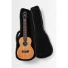 Kala James Hill Signature Elektro Concert Ukulele, Fotoğraf: 6/8