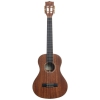 Kala KA-AMHG-ST Super Tenor Ukulele<br>Fotoğraf: 1/2