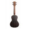 Kala KA-SSEBY Solid Spruce Abanoz Concert Ukulele (Natural)<br>Fotoğraf: 2/2