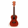 Kala Maun EQ Concert Ukulele<br>Fotoğraf: 4/4