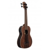 Kala Striped Ebony Perdesiz Akustik-Elektro U•BASS® Akustik Bas Gitar, Fotoğraf: 2/4