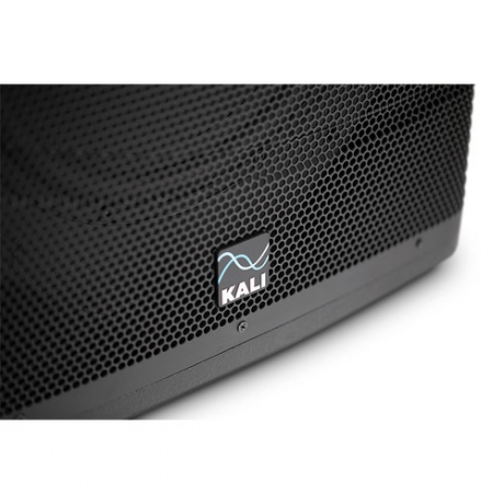 Kali Audio WS-12 12 İnç Stüdyo Subwoofer<br>Fotoğraf: 7/7