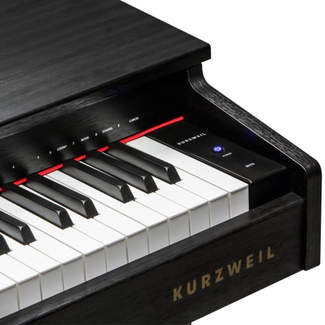 Kurzweil M70SR Dijital Piyano (Gülağacı)<br>Fotoğraf: 4/4