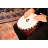 Meinl PADJ1-M-F Travel Series 10" Djembe (Pharaohs)<br>Fotoğraf: 6/9