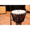Meinl PADJ7-M-F Travel Series 10" Djembe (Day Of The Dead Finish)<br>Fotoğraf: 9/10