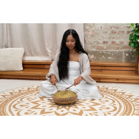 Meinl Sonic Energy 10" Medium Octave Steel Tongue Drum (C Major, 8 Notes, 432 Hz, Gold)<br>Fotoğraf: 6/6