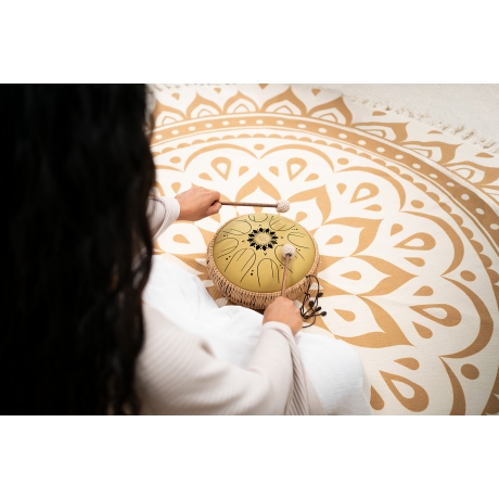 Meinl Sonic Energy 10" Medium Octave Steel Tongue Drum (C Major, 8 Notes, 432 Hz, Gold)<br>Fotoğraf: 5/6