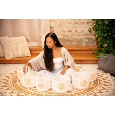 Meinl Sonic Energy 6-Parça Solfeggio Crystal Singing Bowl Set<br>Fotoğraf: 5/5