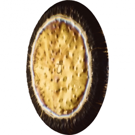 Meinl Sonic Energy G36HC4 36'' Kalp Çakrası Gong (136,10 Hz / C2#)<br>Fotoğraf: 2/2