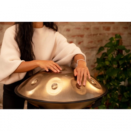 Meinl Sonic Energy HPSTL90 Stainless Steel D Kurd 9 Note Handpan (Vintage Gold)<br>Fotoğraf: 8/8